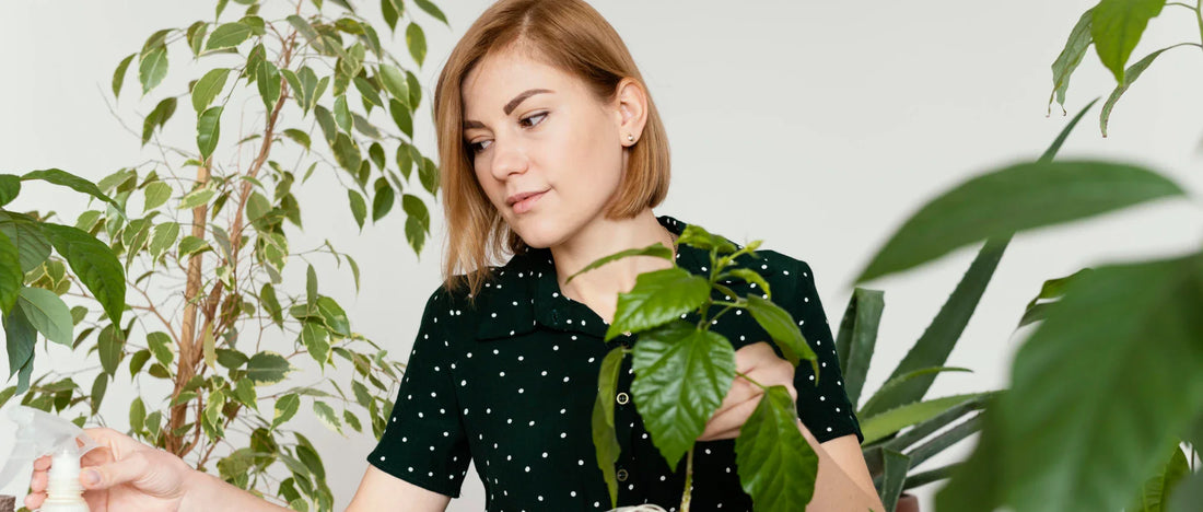 Understanding Modern Apothecary Products: What to Look for in Clean, Effective Wellness Supplements