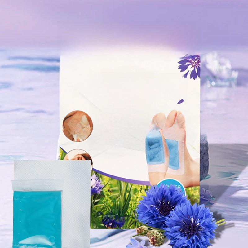 Jiang Salt And Artemisia Foot Patch