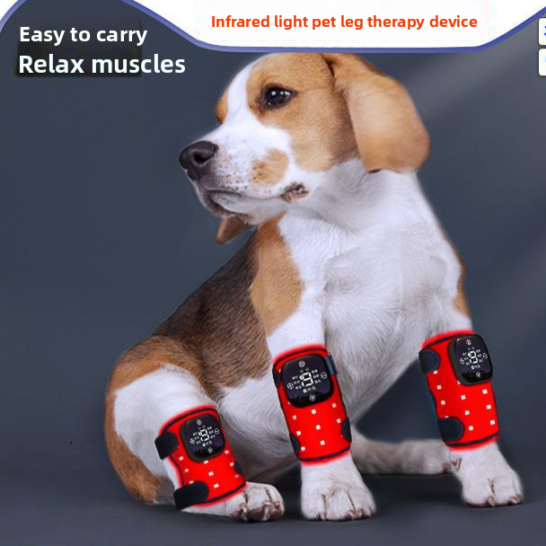 Portable rechargeable pet knee therapy device