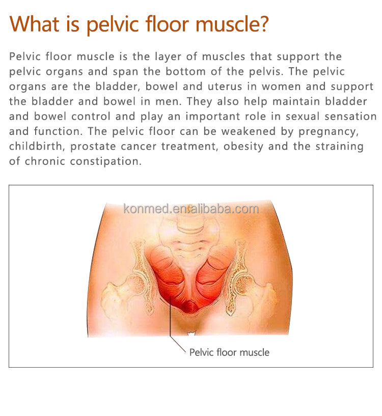 Pelvic Floor Muscle Pain Improve Sexual Life Kegel Exercise