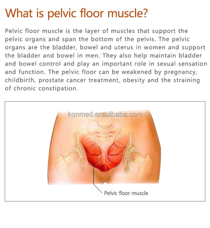 Pelvic Floor Muscle Pain Improve Sexual Life Kegel Exercise