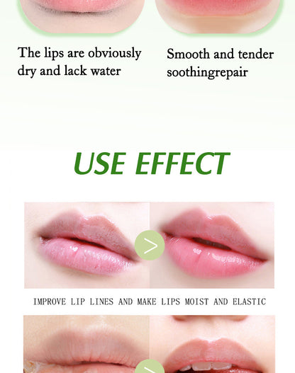 Color‑Changing Aloe Vera Lipstick – Moisturizing, Waterproof & Non‑Transfer