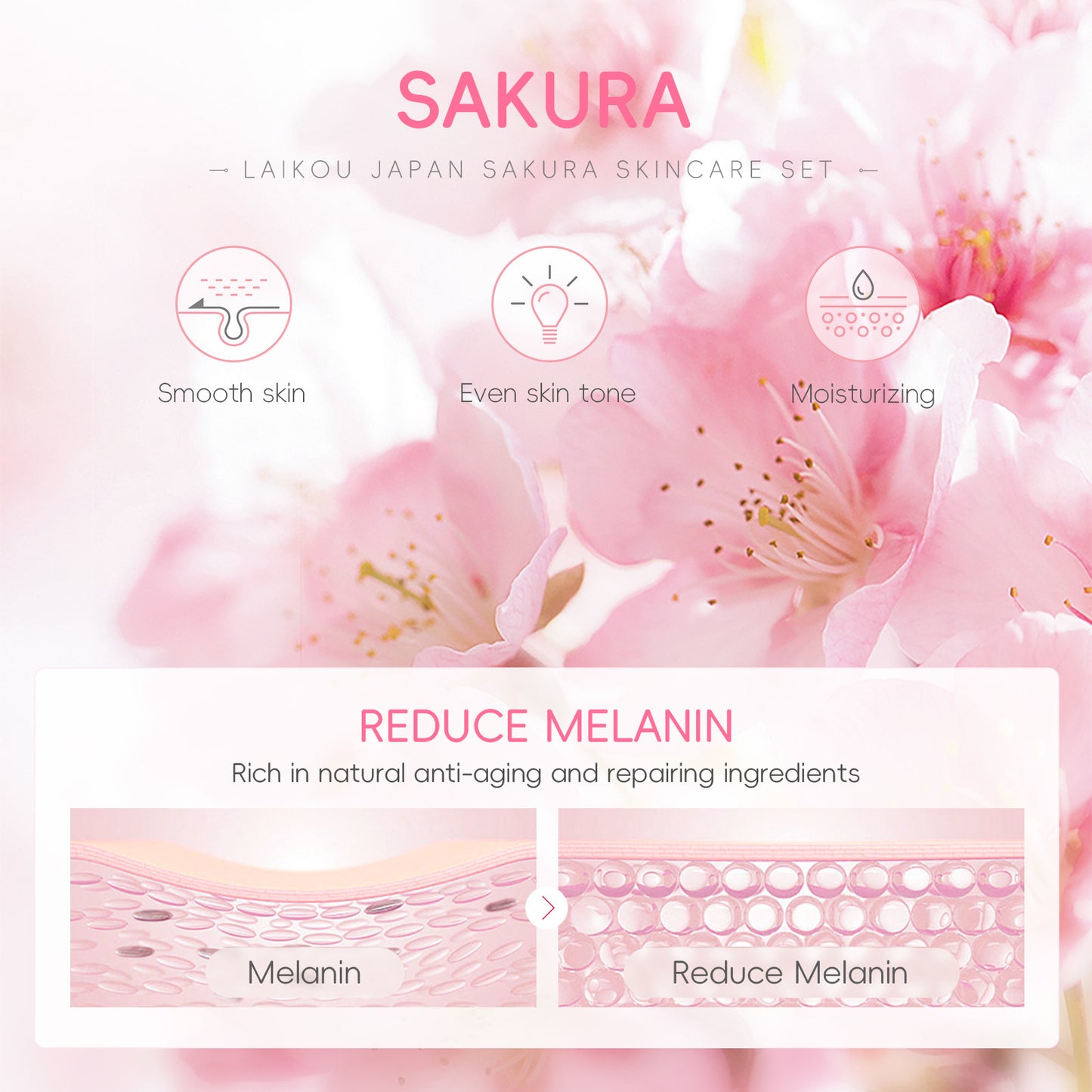 Lecco Japanese Cherry Blossom Skin Care 5-Piece Set