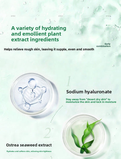 Aloe Vera Hydrating Sheet Mask – After-Sun Soothing & Brightening Mask (25ml)