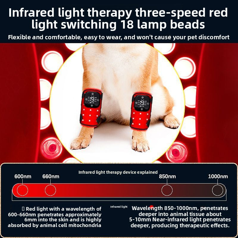 Portable rechargeable pet knee therapy device
